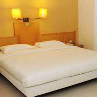 Hotel Maharaja Palace, Alwar 3